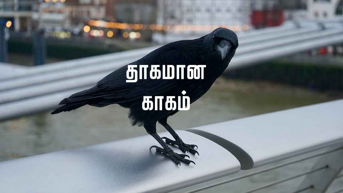 tamil thirsty crow