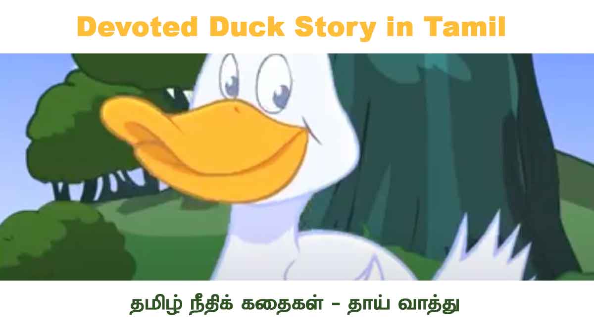 Devoted Duck Story in Tamil
