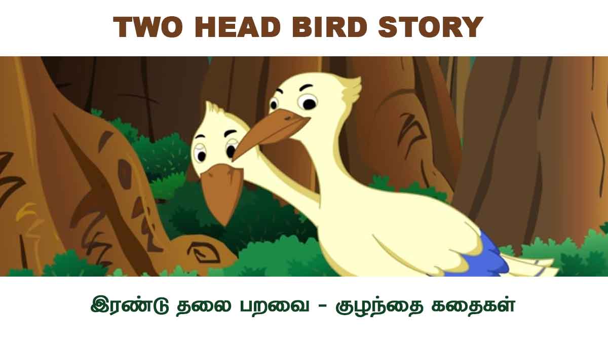 Two Head Bird Story - இரண்டு தலை பறவை