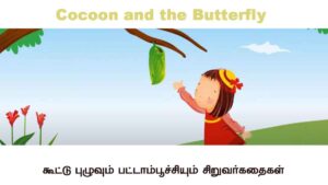 Cocoon and the Butterfly