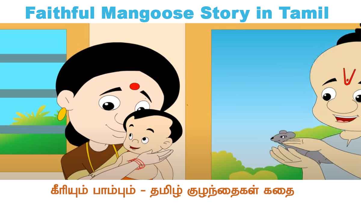Faithful Mangoose Story in Tamil