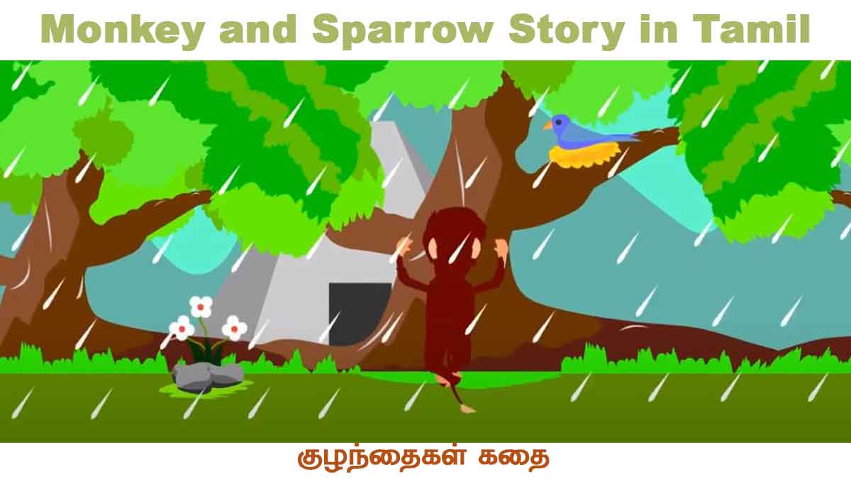 Monkey and Sparrow Story in Tamil
