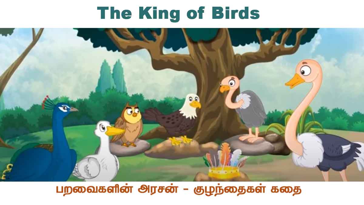 The-King-of-Birds