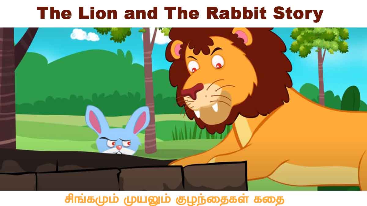 The Lion and The Rabbit Story