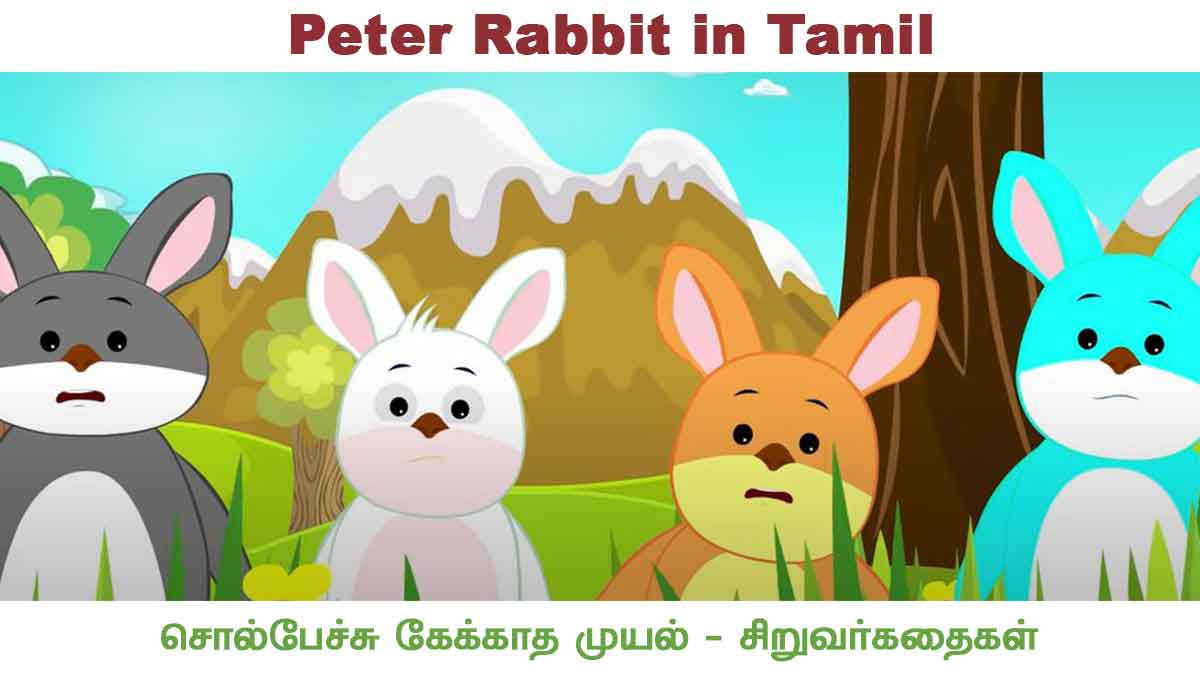 Peter Rabbit in Tamil