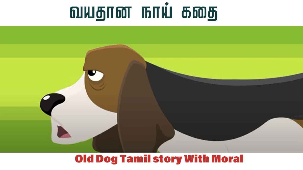 Old Dog Tamil story With Moral (வயதான நாய் ) - தமிழ் குழந்தை கதைகள்