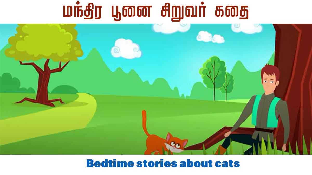 Bedtime-stories-about-cats