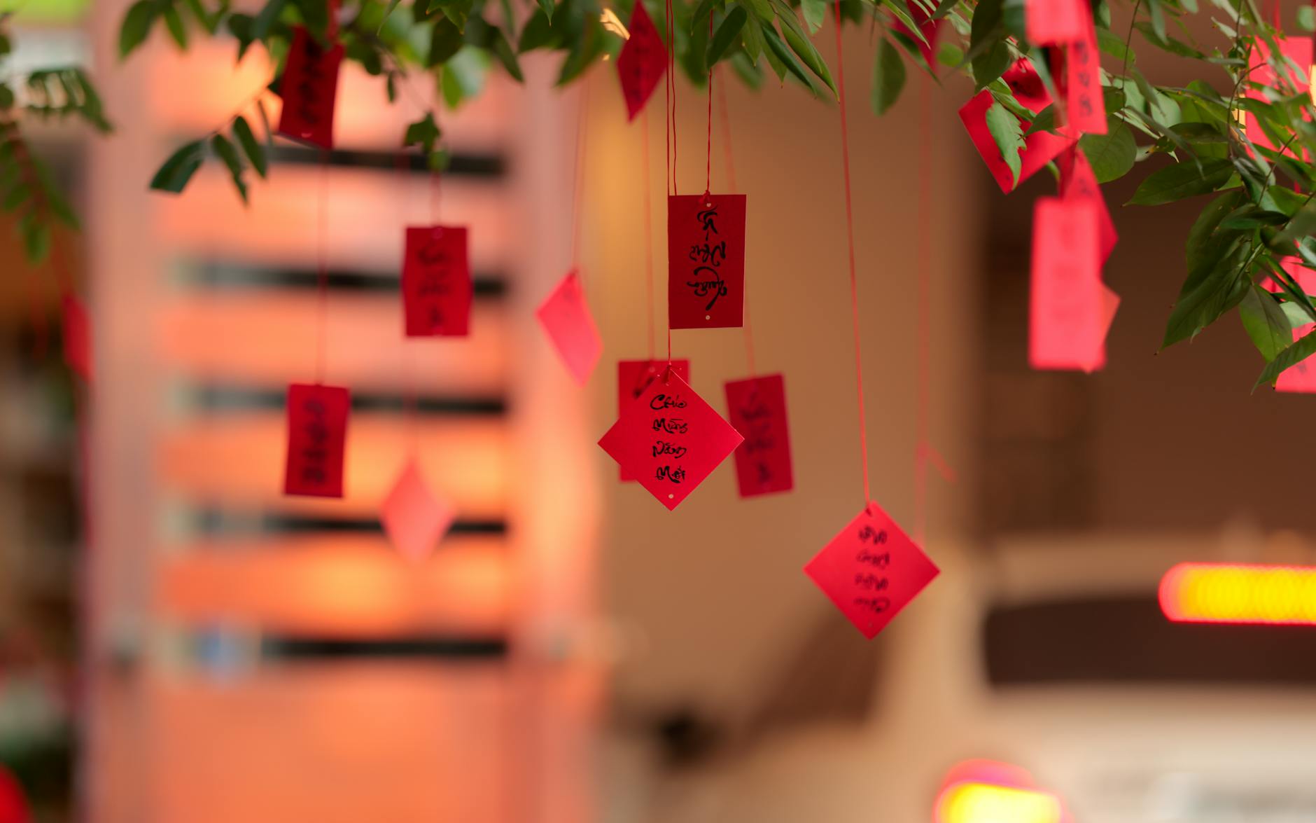 red wish tags hanging from tree branch outdoors