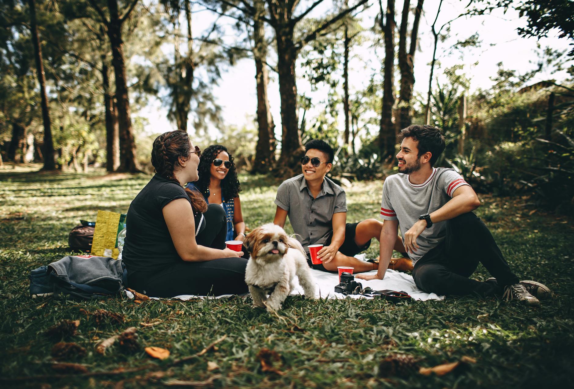 group of people sitting on white mat on grass field