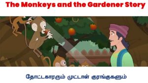 The Monkeys and the Gardener Story in Tamil- தோட்டக்காரனும் குரங்குகளும்:- ஒரு ஊருல ஒரு தோட்டக்காரன் இருந்தான் ,அவனுக்கு காட்டுக்கு பக்கத்துல ஒரு தோட்டம் இருந்துச்சு ,