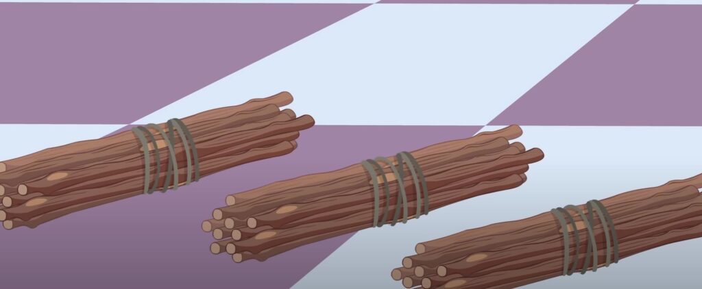 The Bundle Of Sticks Story - ஒற்றுமையே பலமாம் குழந்தைகள் கதை